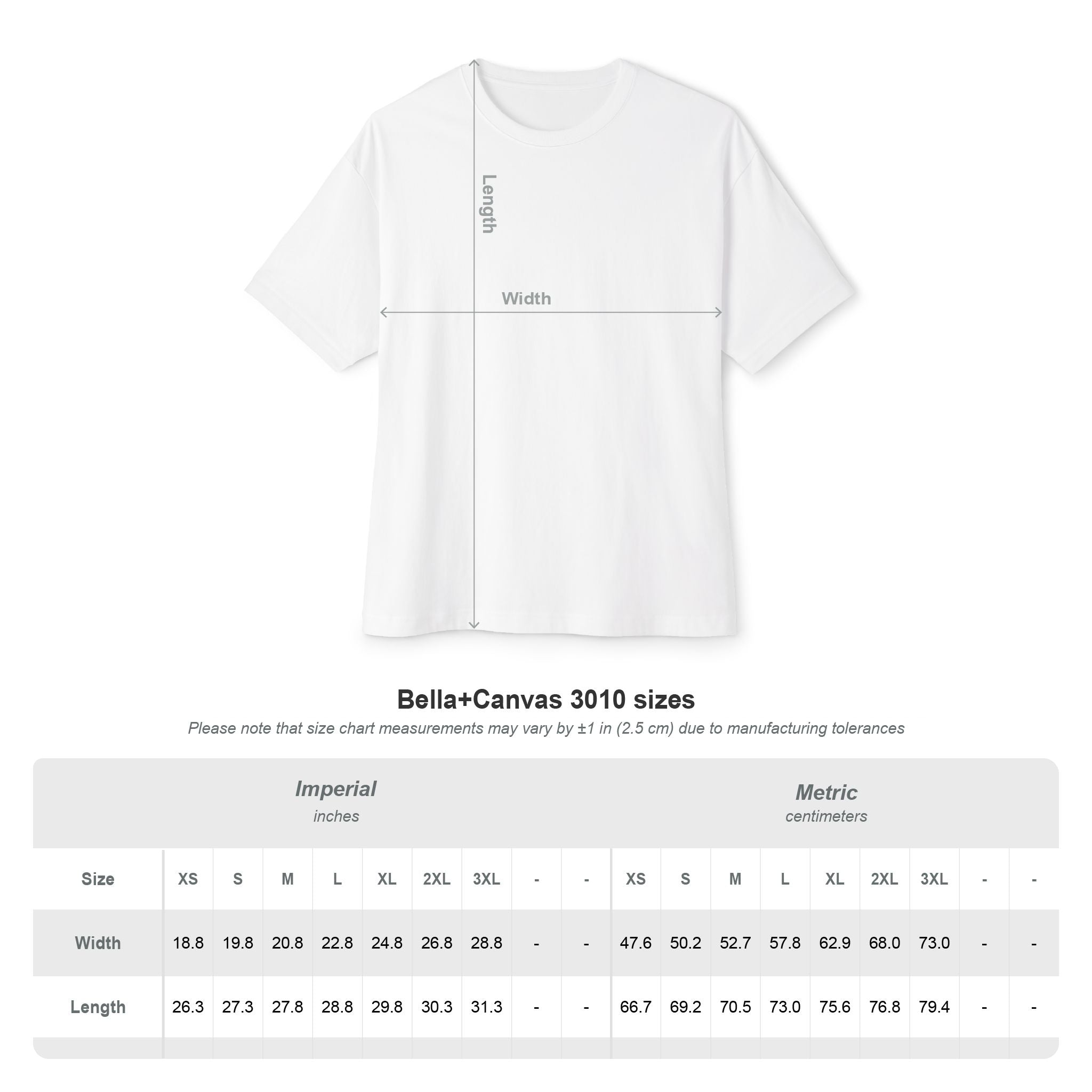 Unisex Oversized Boxy Dove Tee